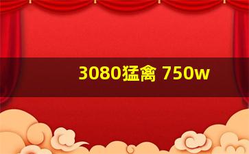 3080猛禽 750w